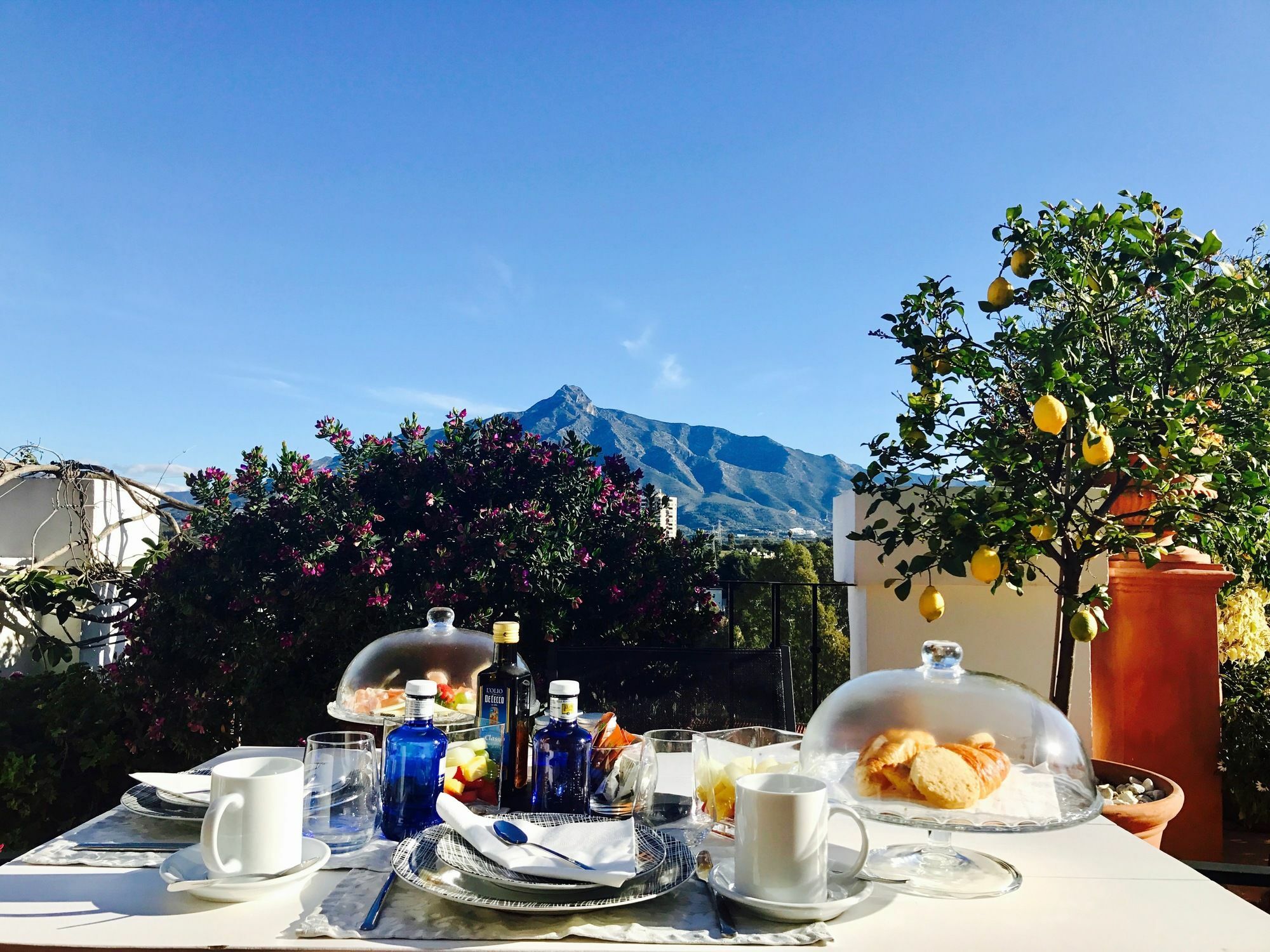 Molo 44 Suites Puerto Banus Marbella Eksteriør billede